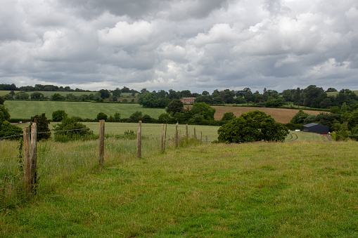 fencing and Devon hills and grazing land and a hedgerow in the background on a cloudy day