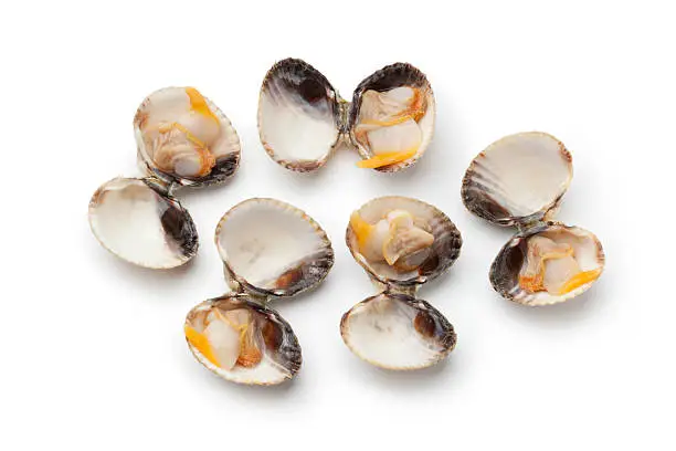 Fresh cooked cockles in the shell on white background
