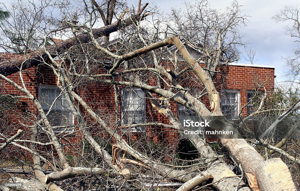 倒れた木のレンガ造りの家 - ダメージのロイヤリティフリーストックフォト