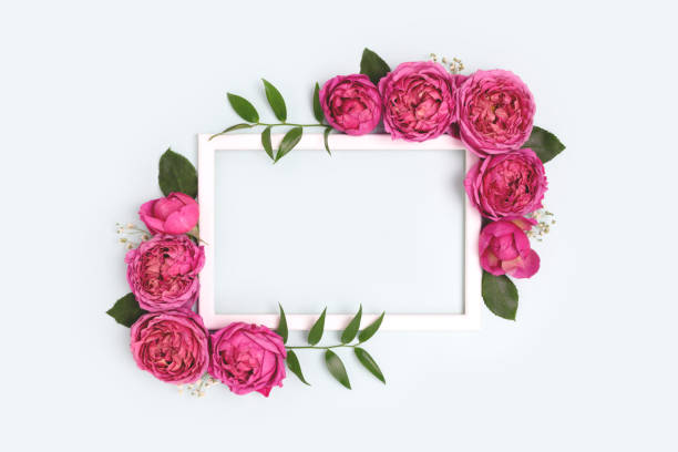 istock Empty flower frame made of pink rose on a blue pastel background. 1358981948