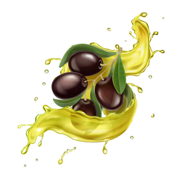 olivenöl goldener spritzer, schwarzer olivenzweig, öltropfen realistisch - cold pressed stock-grafiken, -clipart, -cartoons und -symbole