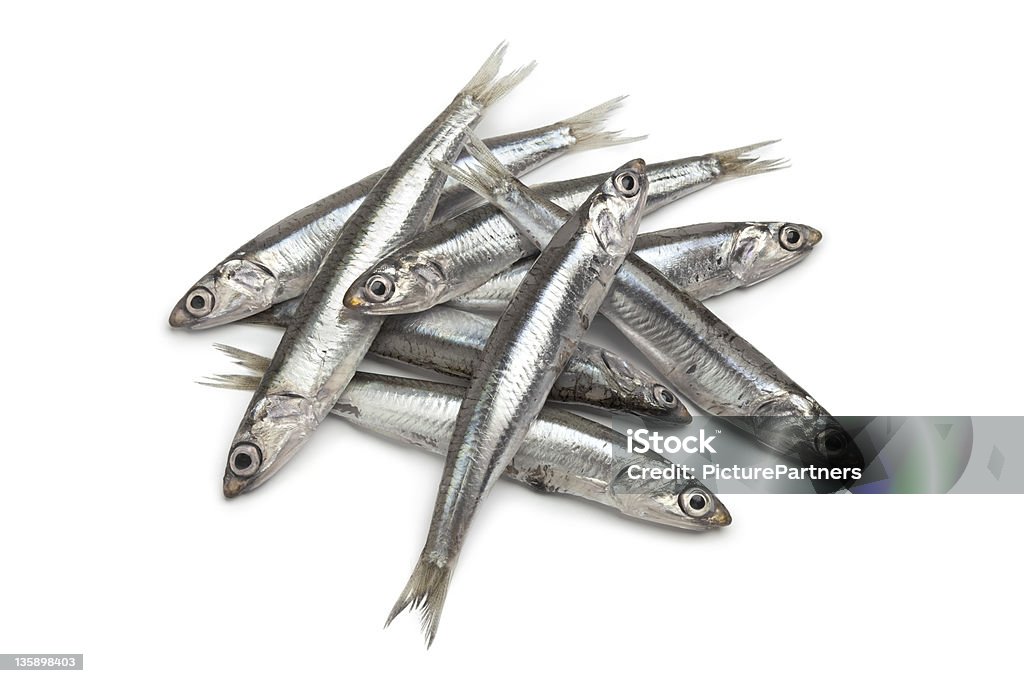 Fresh raw European anchovy Fresh raw European anchovy on white background Anchovy Stock Photo