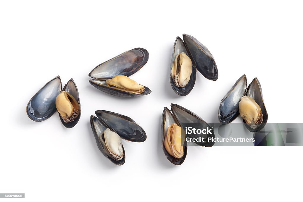 Cooked mussels on white background Open cooked mussels on white background Animal Shell Stock Photo