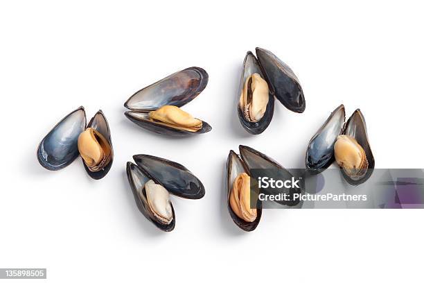 Cooked Mussels On White Background Stock Photo - Download Image Now - Animal Shell, Clam - Seafood, Cooked