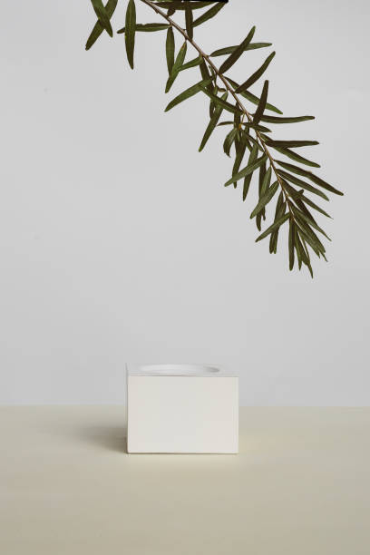 istock Minimalism composition of an empty pedestal and a natural branch 1358988030