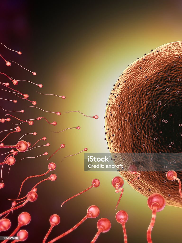 精子レースを卵 - DNAのロイヤリティフリーストックフォト
