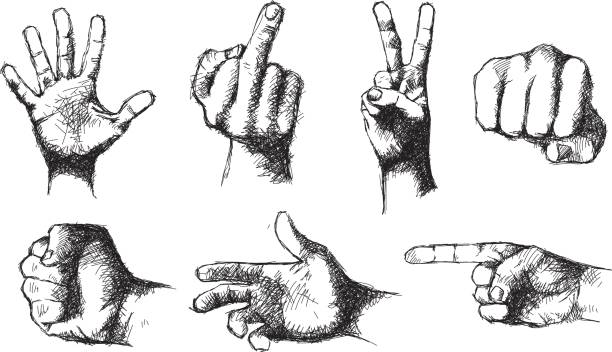 hands sketched (vector) Hand-drawn hand figures. All strokes left intact. punching illustrations stock illustrations