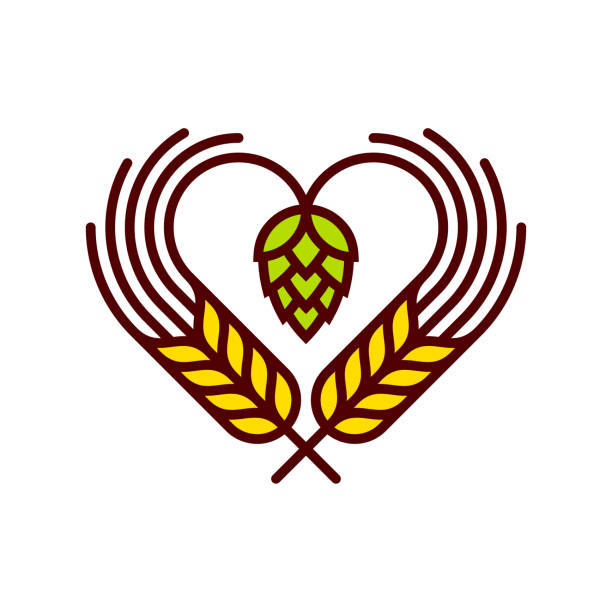 Hops and wheat Line vector icon. Vector EPS 10, HD JPEG 4000 x 4000 px brewery stock illustrations