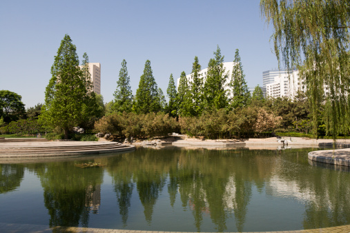 Lake in a park in Beijing, China with tall trees and modern apartments in the background; clear blue sky.