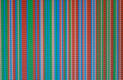 Aligned DNA nucleotide sequences, photo taken directly from a computer screen.