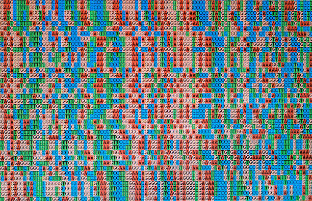 unaligned las secuencias de adn se muestran en una pantalla de monitor lcd - test de adn fotografías e imágenes de stock