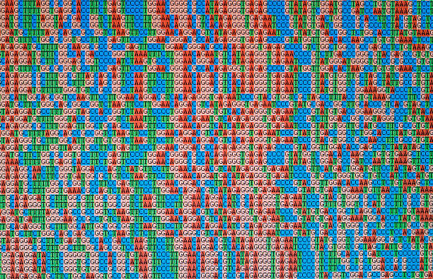 Unaligned DNA  sequences displayed on an LCD monitor screen Unaligned DNA base sequences, photo taken from a computer screen genomics stock pictures, royalty-free photos & images