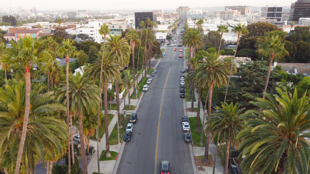 istock Beverly Drive, Beverly Hills, California  Arial view 1358996626