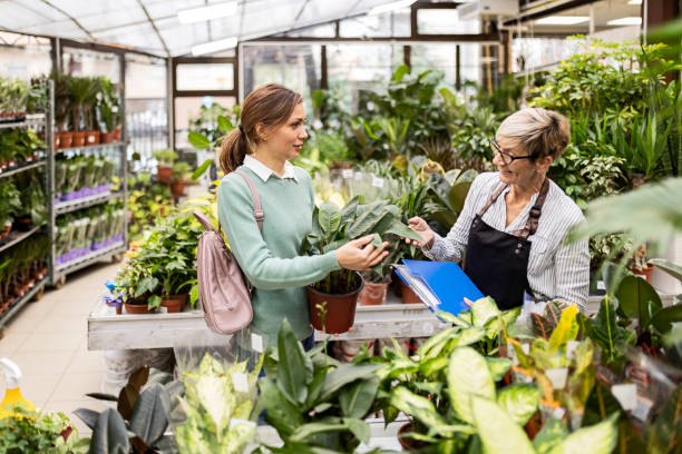 istock Flowers plant shop 1358996998