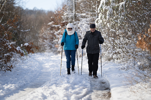 Happy Senior Couple Walking With Hiking Poles Along Country Road Covered with Snow Through Rural Landscape With Trees, Front View Full Length