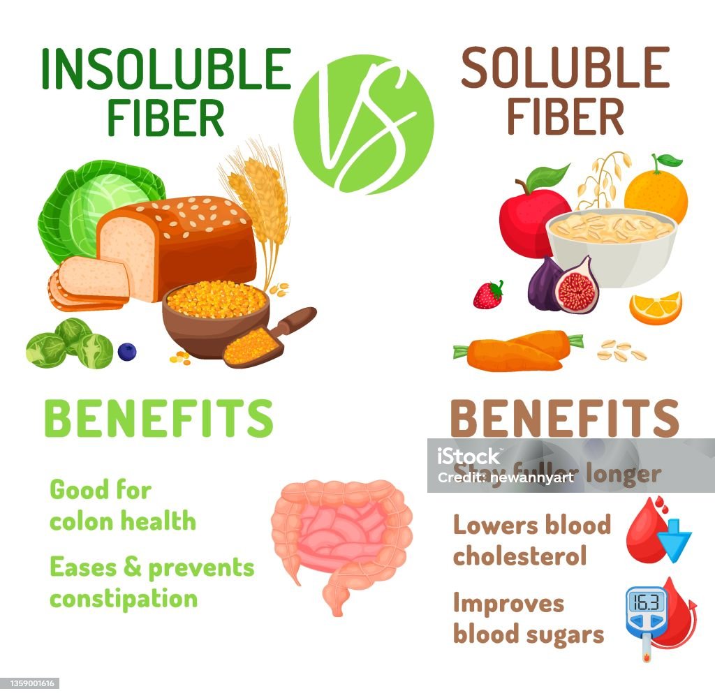 Ilustraci n De Beneficios De La Fibra Soluble E Insoluble Ilustraci n ilustraci-n-de-beneficios-de-la-fibra-soluble-e-insoluble-ilustraci-n