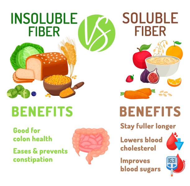 Soluble and insoluble fibre benefits. Editable vector illustration Dietary fibre. Cartoon infographics in a trendy style. Healthcare, anatomy, medicine image. Microelement poster. Nutritional advice. Vector illustration on a white background dietary fiber stock illustrations