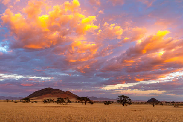 istock Orange colored clouds at sunrise in Namib Desert 1359001982