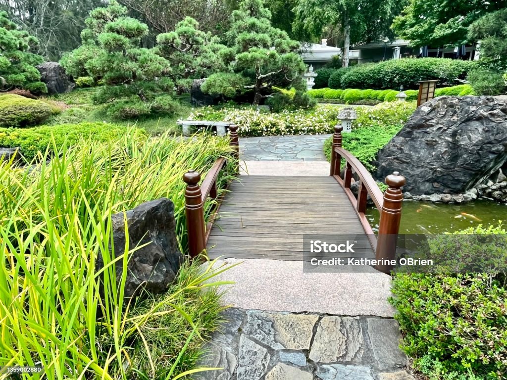 Wooden bridge over lake Japanese garden with bridge and Pergoda Japanese Garden Stock Photo