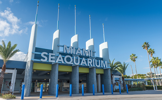Miami, Florida, USA - December 14, 2021: View of quiet Miami Seaquarium, located on the island of Key Biscayne. This is a marine life preservation center with dolphin shows and other animals.