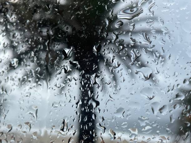 istock Rain stormed Southern California 1359006081