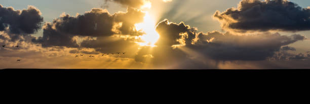 istock Yellow sunlight above the Dutch dike 1359006617