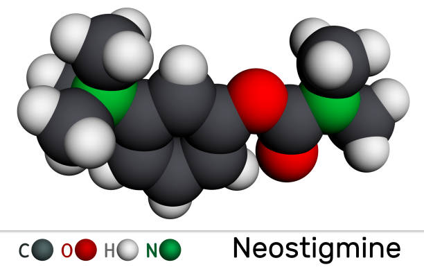 istock Neostigmine, molecule. It ischolinesterase inhibitor for the symptomatic treatment of myasthenia gravis by improving muscle tone. Molecular model. 3D rendering 1359007494