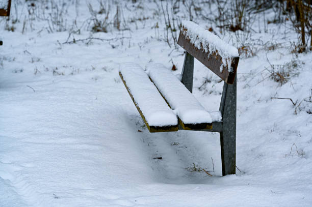 istock wooden bench covered in snow in december 1359007548