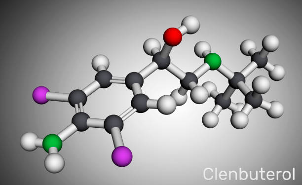 istock Clenbuterol molecule. It is sympathomimetic amine, decongestant and bronchodilator, used in respiratory conditions, in asthma. Molecular model. 3D rendering 1359007612