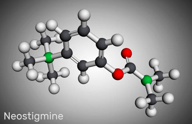 istock Neostigmine, molecule. It ischolinesterase inhibitor for the symptomatic treatment of myasthenia gravis by improving muscle tone. Molecular model. 3D rendering 1359008291