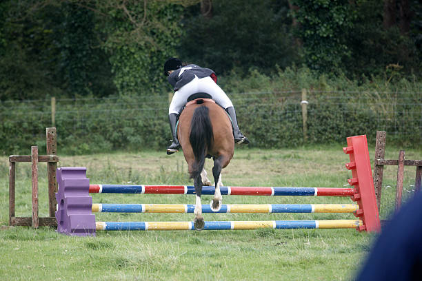 istock Woman horserider going over the hurdle 135901037
