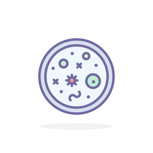 illustrations, cliparts, dessins animés et icônes de bactéries dans l’icône de la boîte de petri dans un style de contour rempli. - petri dish medical research bacterium contagion