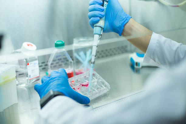 istock Medical and medicine laboratory 1359011738