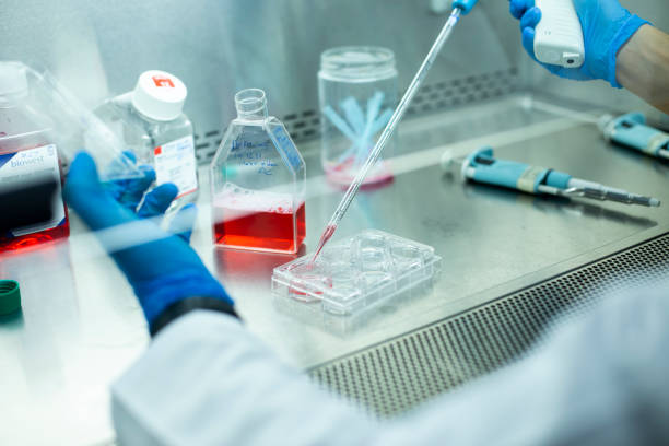 istock Medical and medicine laboratory 1359012324