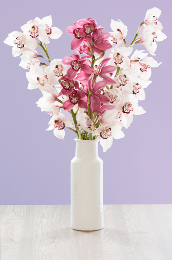 A bouquet of gorgeous giant white and purple orchids in a white vase. Greeting card.