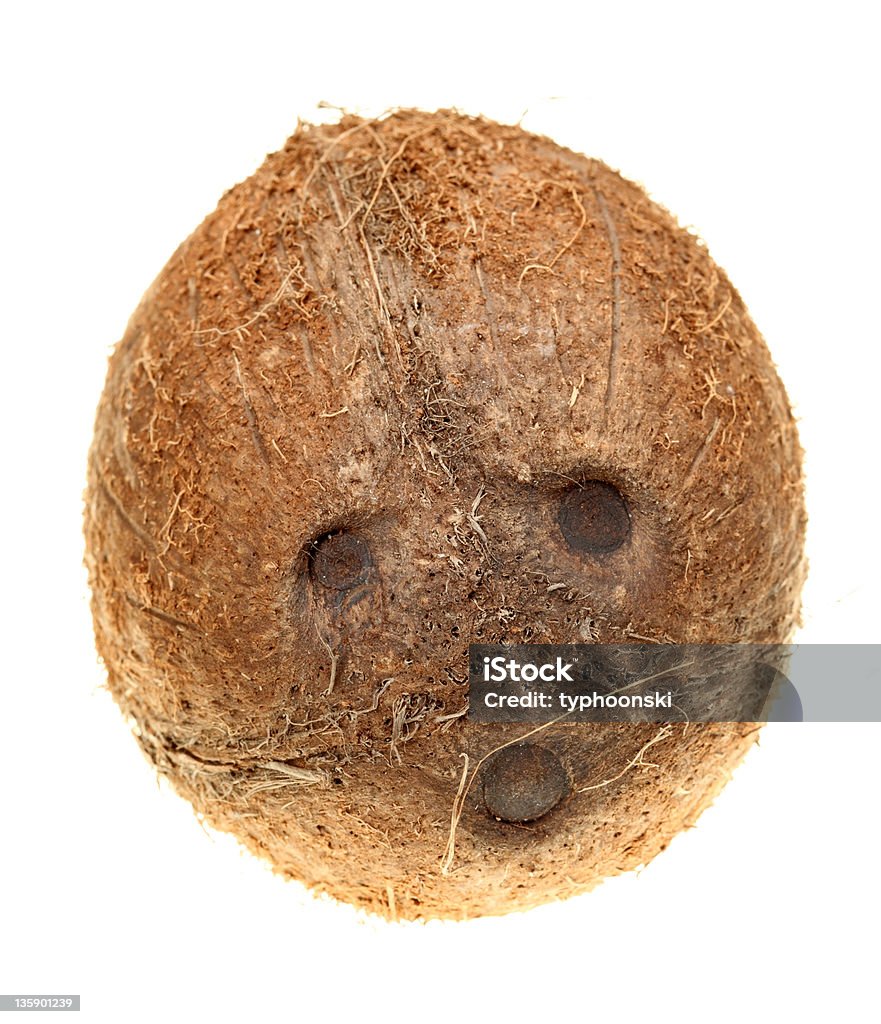 Coconut Whole coconut fruit isolated over white background Brown Stock Photo
