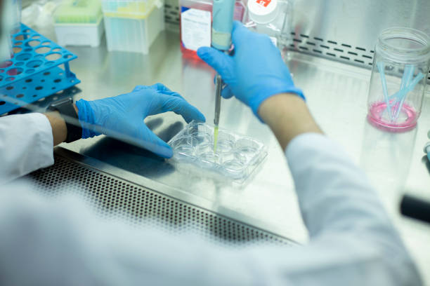 istock Medical and medicine laboratory 1359012426