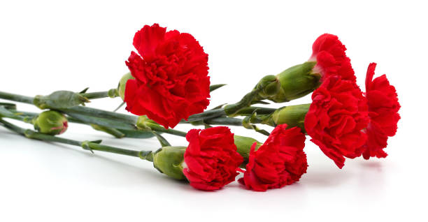 istock Bouquet of red carnations. 1359013891