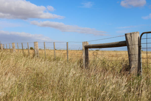 istock rural fence in a field 1359017266