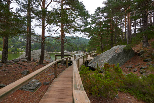 istock A wooden walkway over a lake under a totally cloudy sky 1359019242
