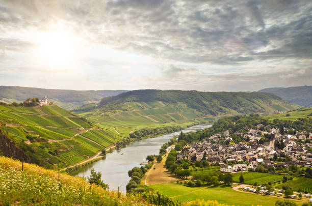 View to river Moselle and Marienburg Castle near village Puenderich - Mosel wine region in Germany View to river Moselle and Marienburg Castle near village Puenderich - Mosel wine region in Germany rhineland stock pictures, royalty-free photos & images