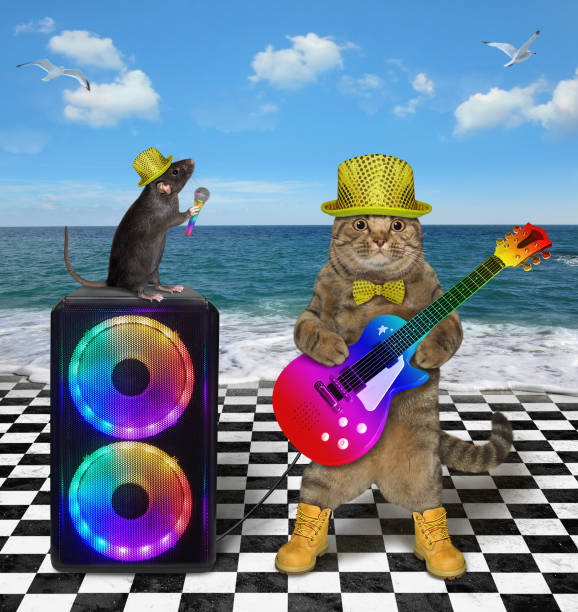 istock Cat plays guitar on seashore 1359020245