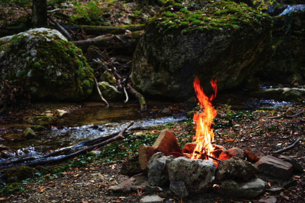 istock Bonfire in the forest by the stream 1359020482