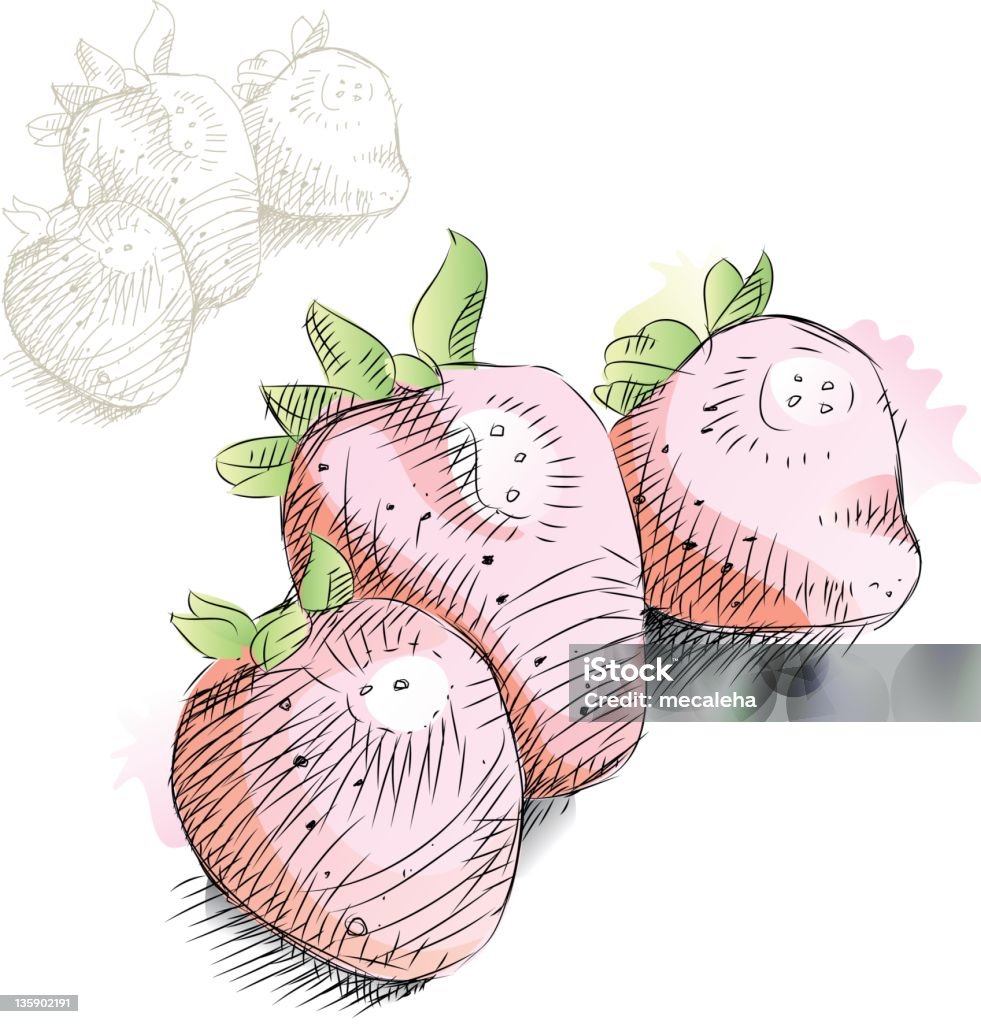 Strawberry - Grafika wektorowa royalty-free (Akwarela)