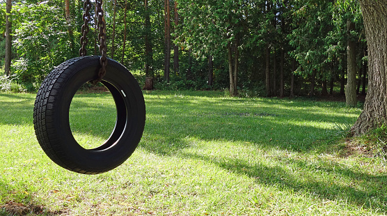 Tire swing hangs from a tree in a wooded backyard on a beautiful summer day, backyard park scene photo.