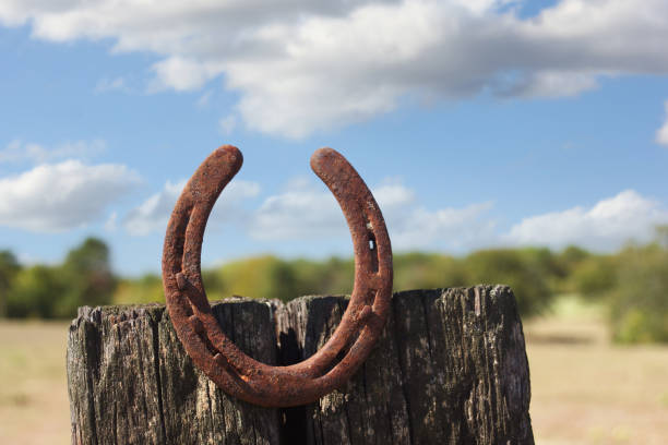 Metal Horseshoe on Wooden Post With Blue Sky and Fluffy Clouds