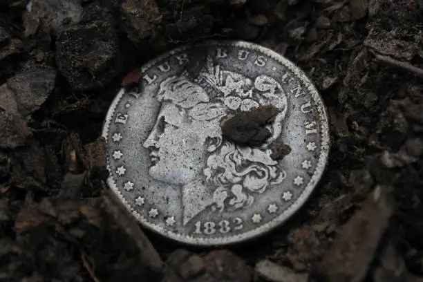 1882 Morgan Silver Dollar outside on dirt