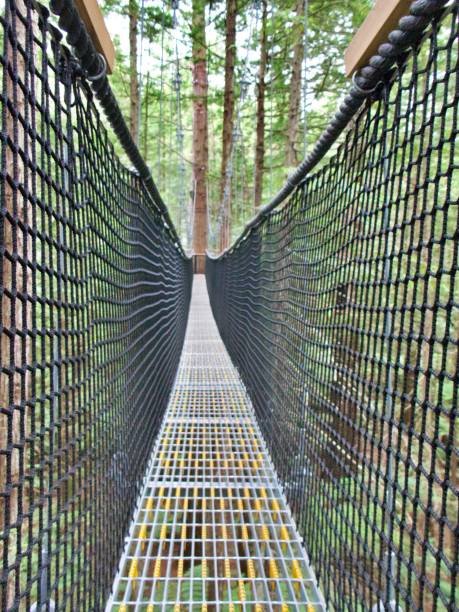 istock Suspension bridge in the trees 1359023782
