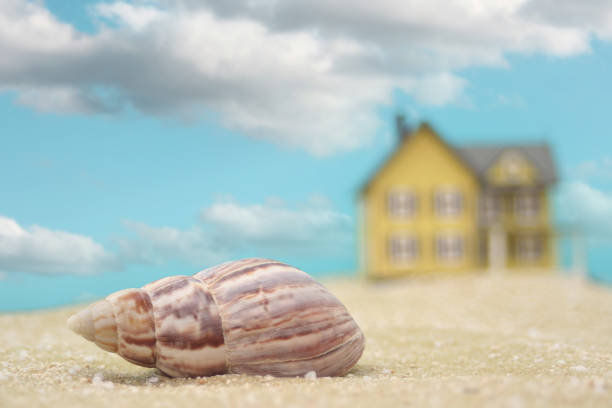 Sea Shell and Beach House, Shallow DOF