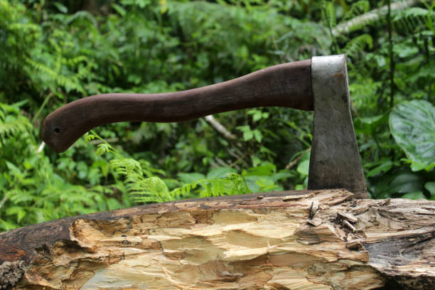 istock Axe in a log on green rural forest background. 1359025518